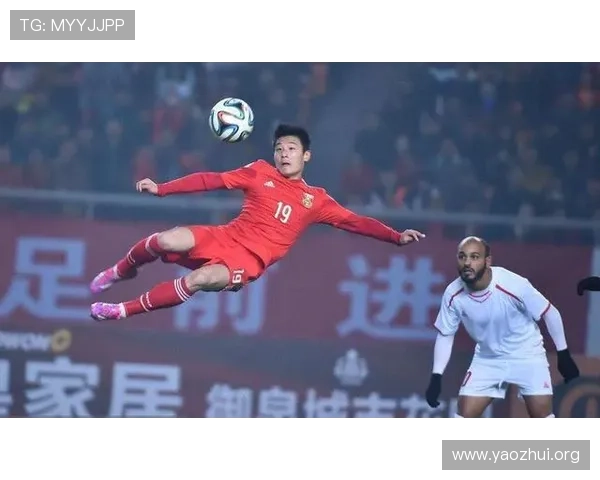 2026年世界杯已经确定的参赛球队完整图片展示及详细介绍